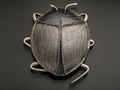 Sterling Silver - Bug Brooch - 2 inches